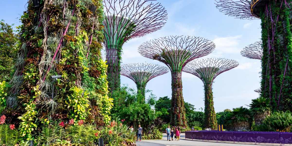 Best Time to Visit Singapore